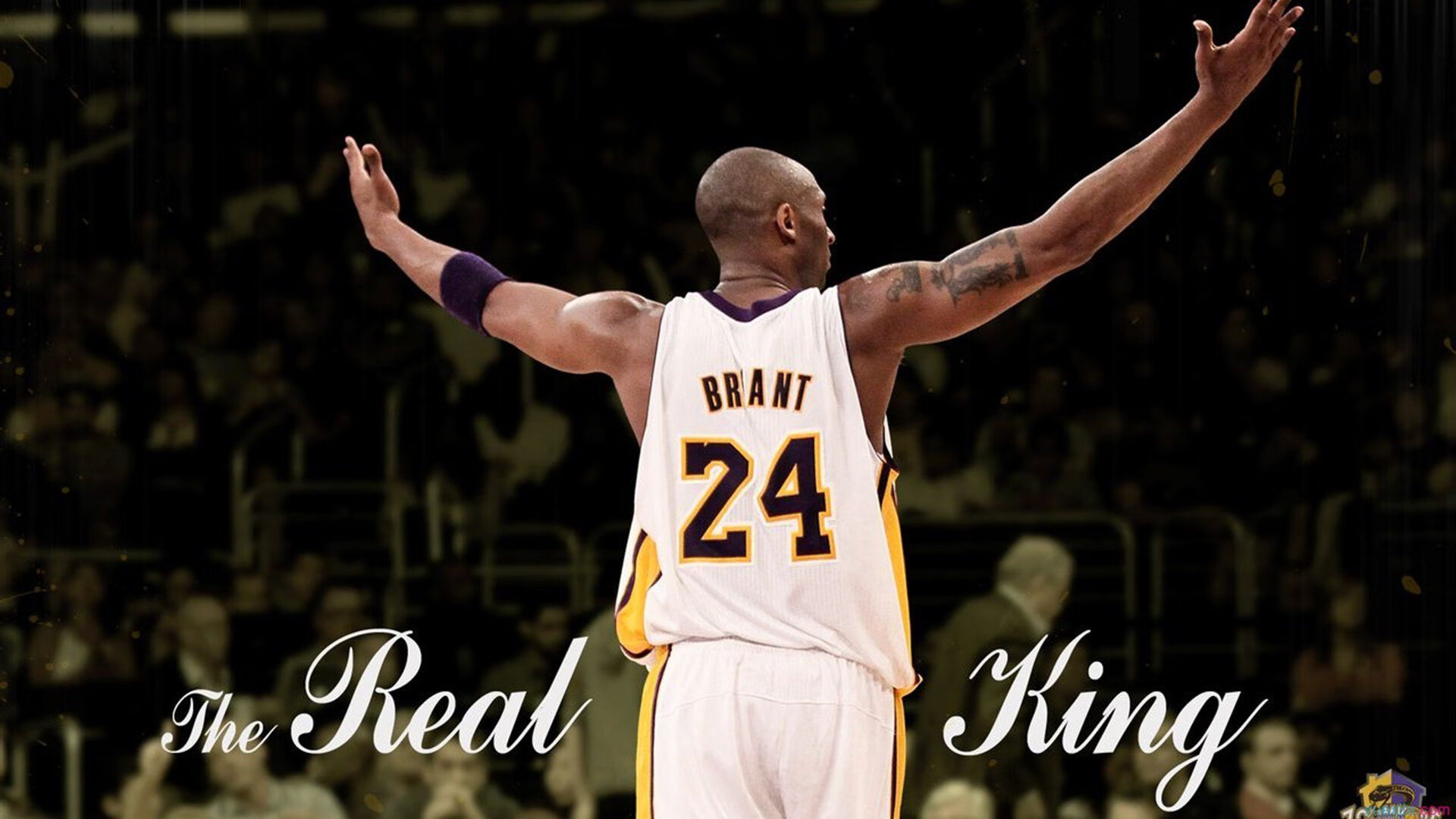 青少年篮球赛事强化纪律管理保障赛事秩序，篮球青少年比赛